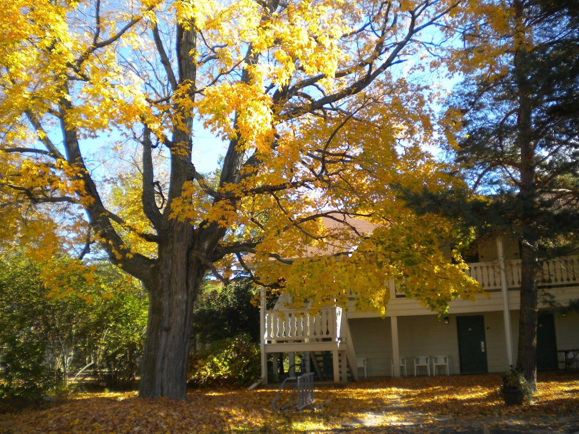 Parkwood Lodge Fish Creek Exterior foto